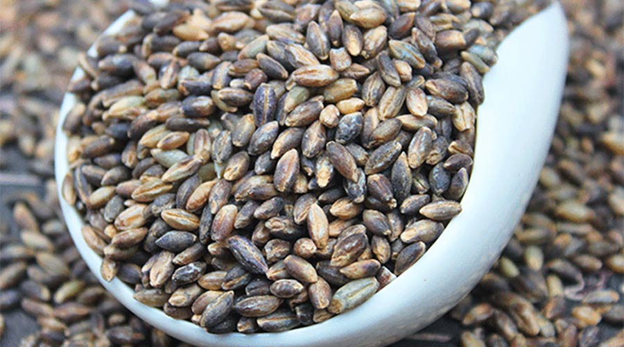 青海玉树黑青稞200平米冷藏库设计安装工程建造方案 青海玉树黑青稞200平米冷藏库设计安装工程建造方案