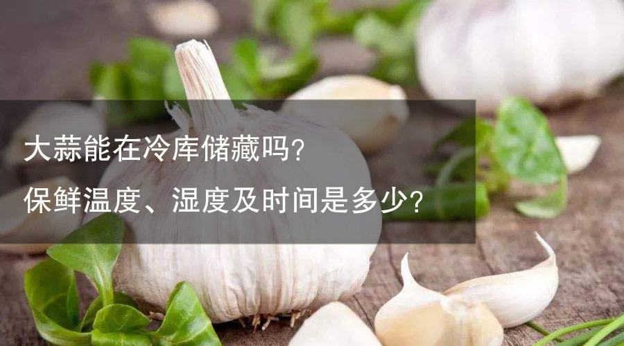 大蒜能在冷库储藏吗?保鲜温度、湿度及时间是多少? 大蒜能在冷库储藏吗?保鲜温度、湿度及时间是多少?