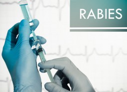 甘肃兰州生物制品研究所2400立方米病毒疫苗医药冷库安装工程. 甘肃兰州生物制品研究所2400立方米病毒疫苗医药冷库安装工程.