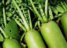 202208121660284618112988.jpg 青海海乐.jpg