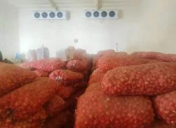 甘肃天畅蔬菜保鲜冷库安装工程