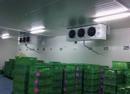 兰州市水果保鲜冷库安装工程-万能制冷