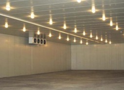 甘肃省兰州市永登县水果冷库安装工程-万能制冷