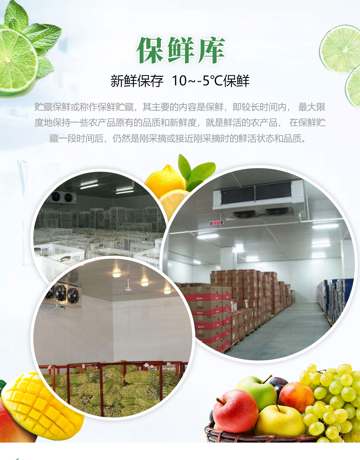 果蔬冷藏保鲜冷库是什么？