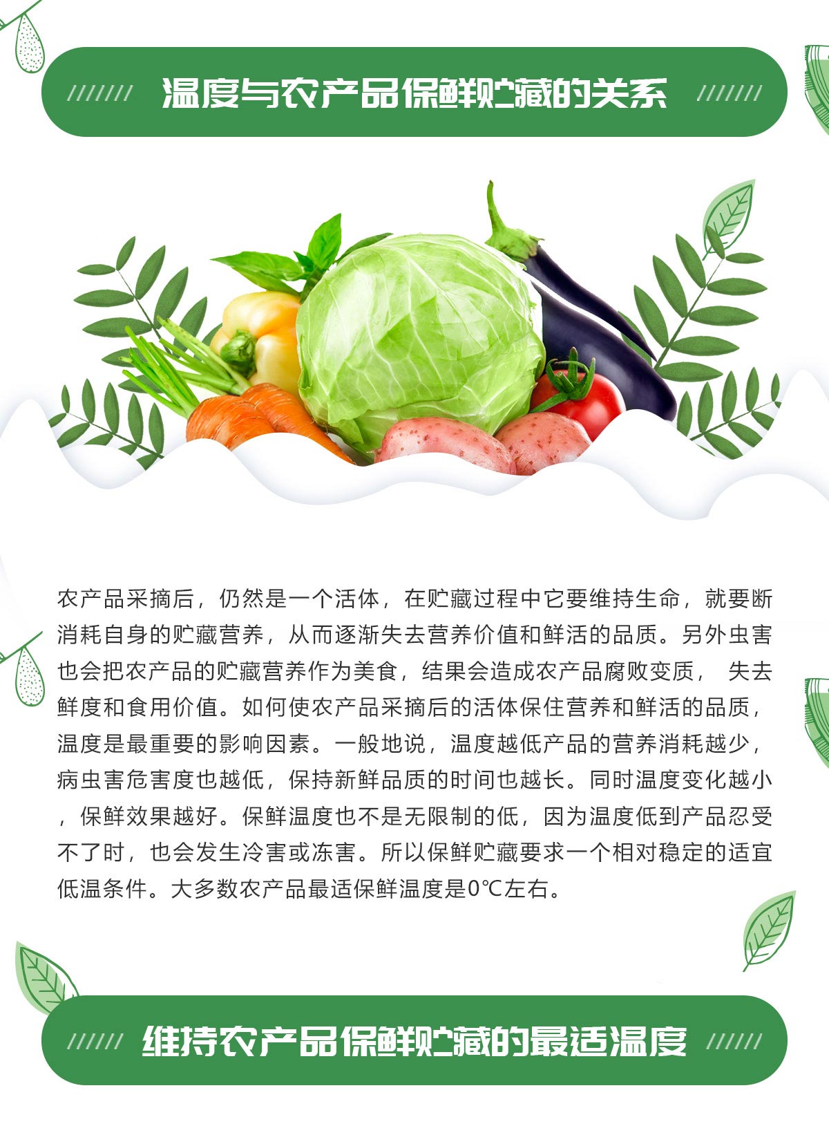 果蔬冷藏保鲜冷库保鲜原理介绍