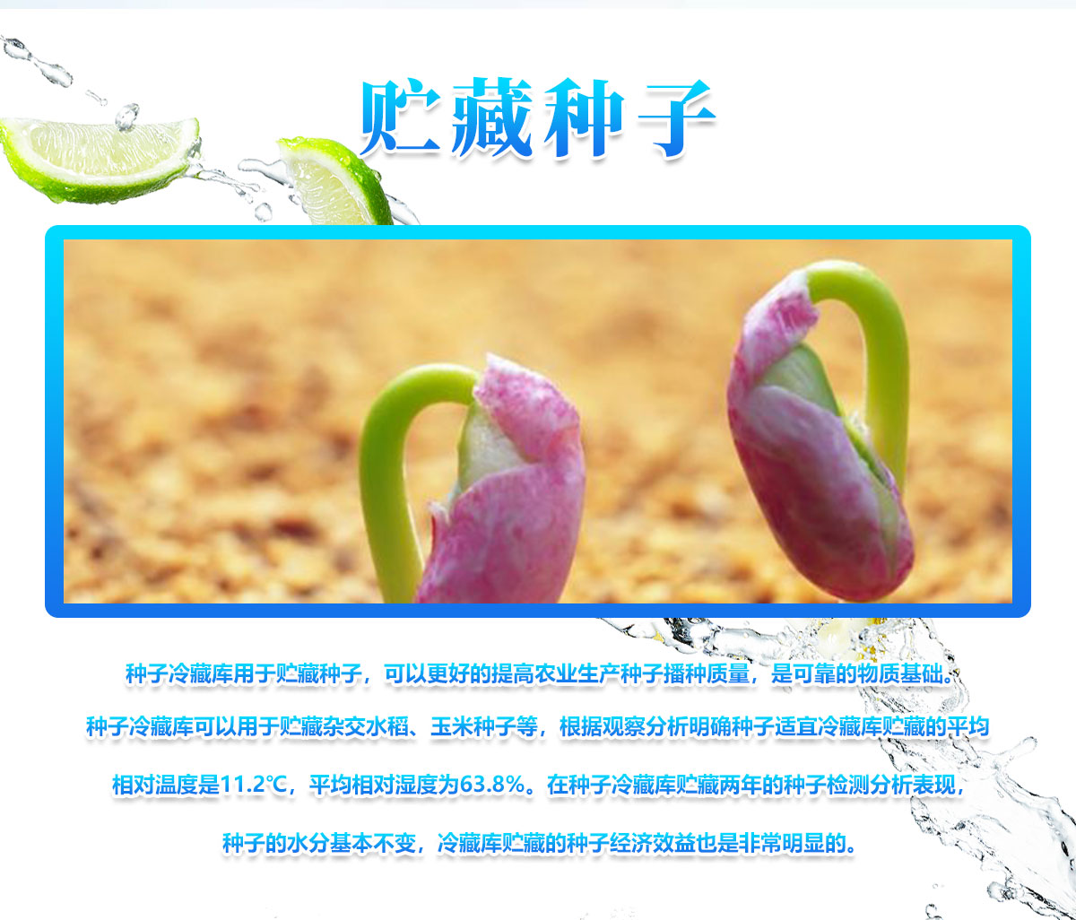 种子储藏冷库的作用是什么？