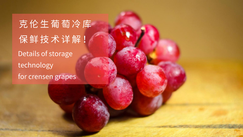 克伦生葡萄冷库保鲜方法介绍
