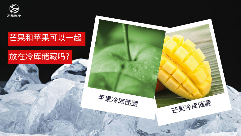 苹果和芒果可以放在一个冷库吗