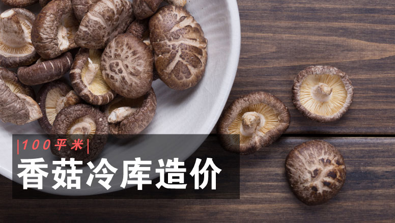 100平米香菇冷库造价
