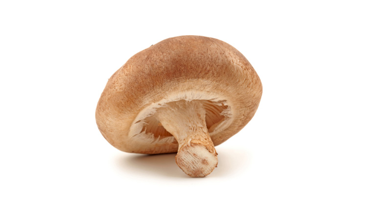 香菇冷库管理注意事项