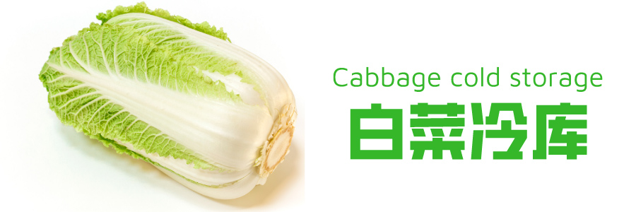 白菜冷库储藏方法介绍