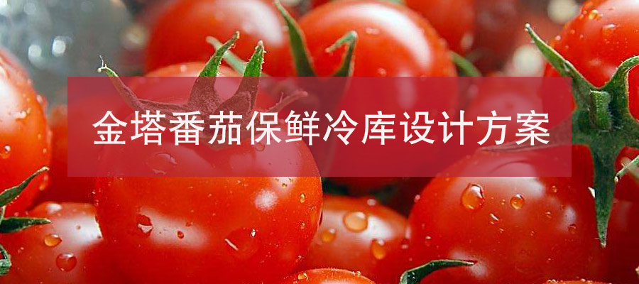 酒泉金塔番茄150平米保鲜万博娱乐平台电脑版
方案.jpg