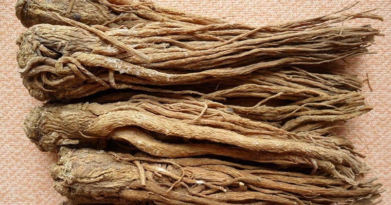 陇南宕昌县哈达铺当归1200平米中药材阴凉库设计建造方案