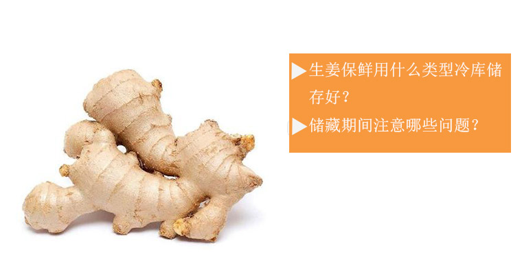 生姜保鲜用什么类型冷库储存好？