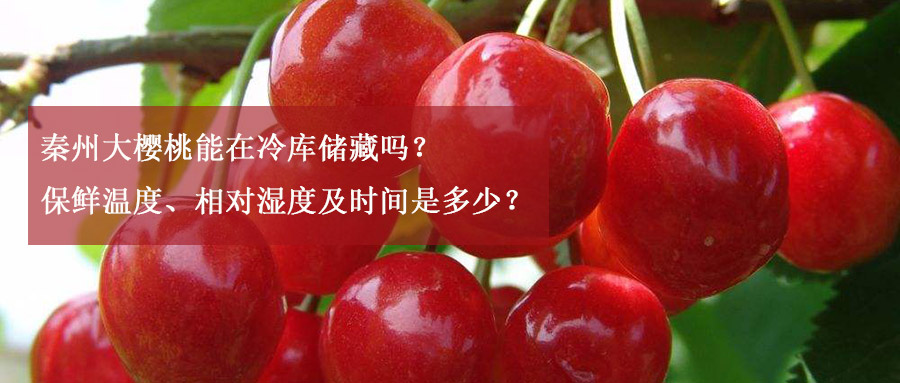 秦州大樱桃能在冷库储藏吗？保鲜温度、相对湿度及时间是多少？