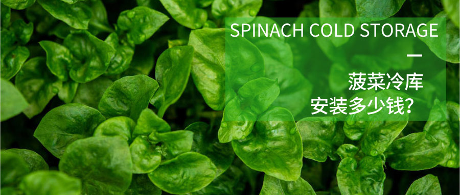 菠菜冷库安装多少钱？