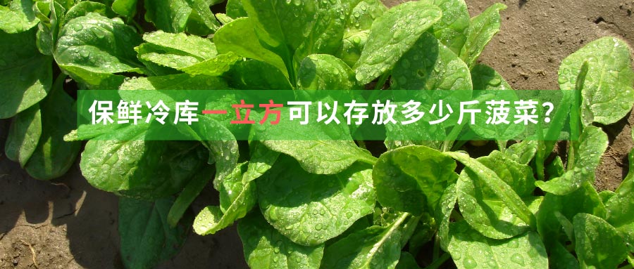 菠菜保鲜冷库一立方可以存放多少斤菠菜？