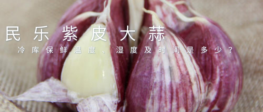大蒜能在冷库储藏吗？保鲜温度、湿度及时间是多少？