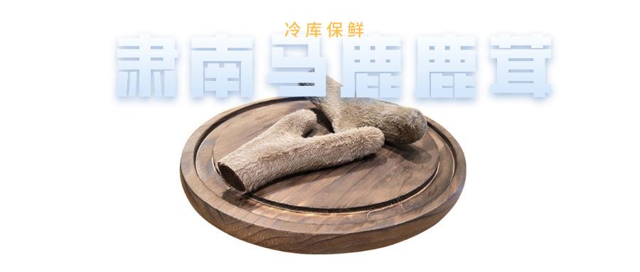 鲜肃南马鹿鹿茸能在冷库储藏吗？保鲜温度、湿度及时间是多少？