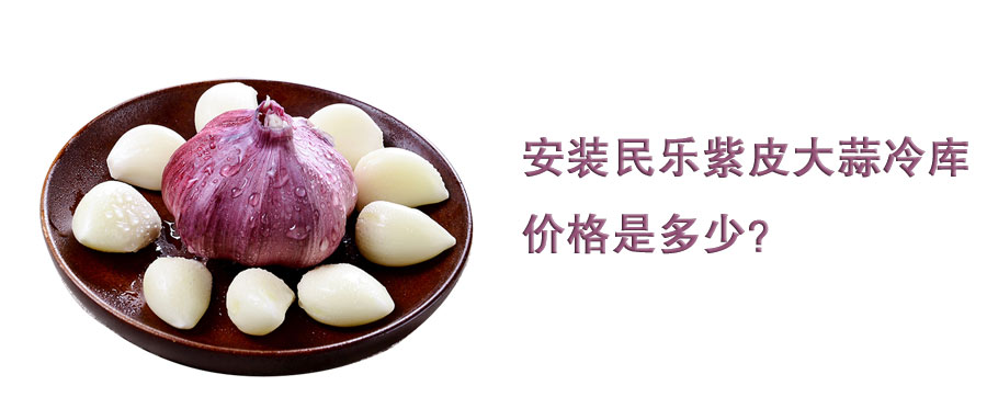安装民乐紫皮大蒜冷库价格是多少？