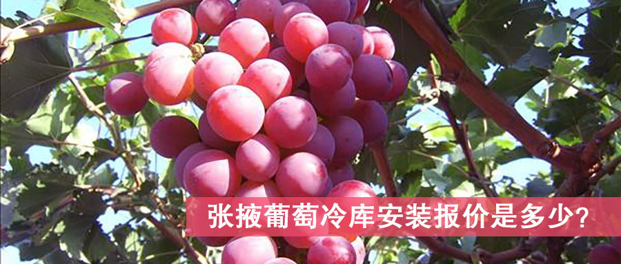 张掖葡萄冷库安装报价是多少？