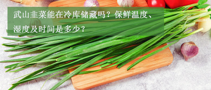 武山韭菜能在冷库储藏吗？保鲜温度、湿度及时间介绍
