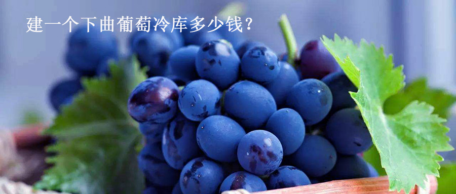 建一个下曲葡萄冷库多少钱？