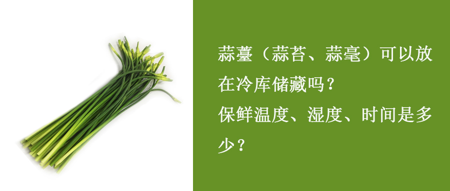 蒜薹（蒜苔、蒜毫）冷库储藏温度、湿度、时间是多少？