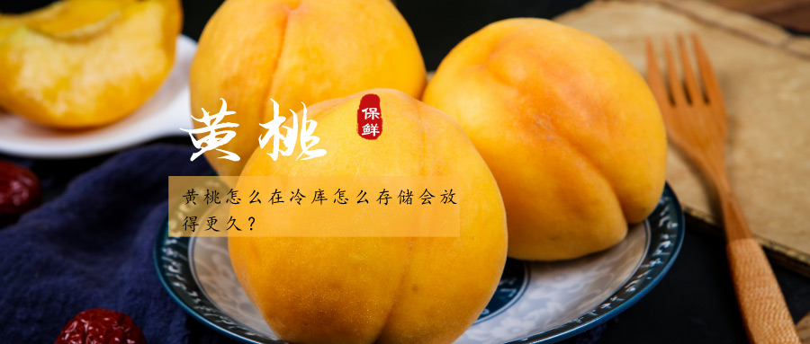 黄桃冷库储藏方法与流程详解！
