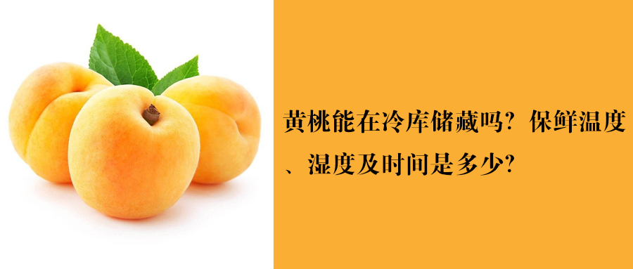 黄桃冷库保鲜温度、湿度及时间是多少？