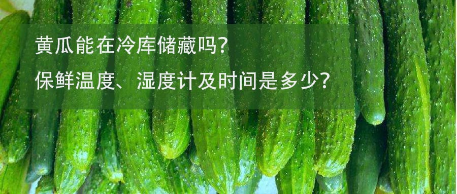 黄瓜保鲜冷库保鲜温度、湿度计及时间介绍