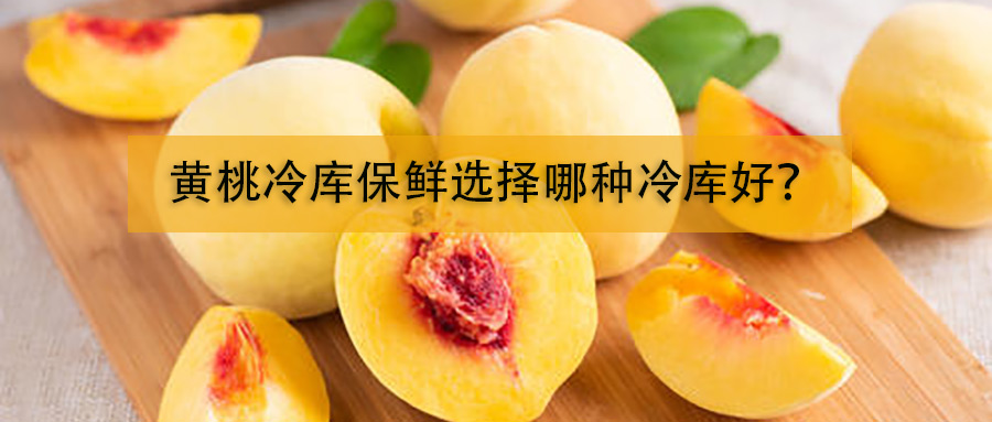 黄桃冷库保鲜选择哪种冷库好？