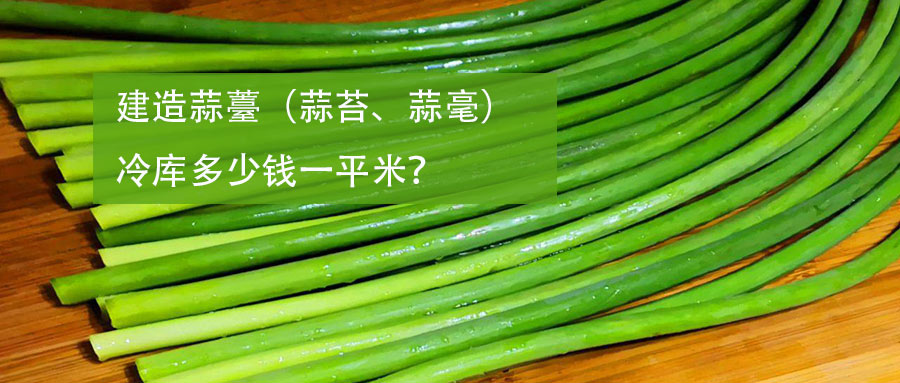 建造蒜薹（蒜苔、蒜毫）冷库多少钱一平米？