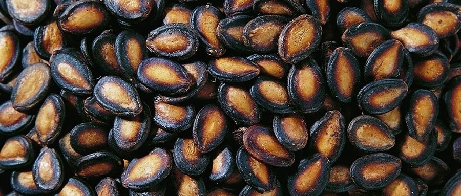 兰州黑瓜子320平米保鲜万博娱乐平台电脑版
安装工程建造方案