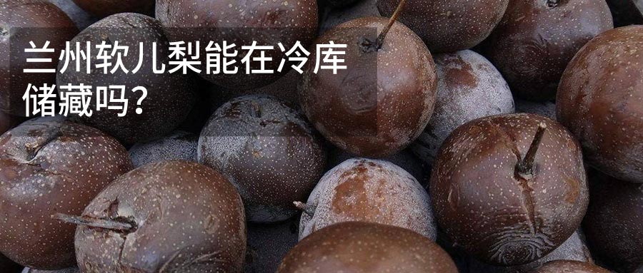皋兰软儿梨冷库储藏