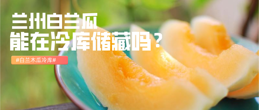 白兰瓜冷库储藏