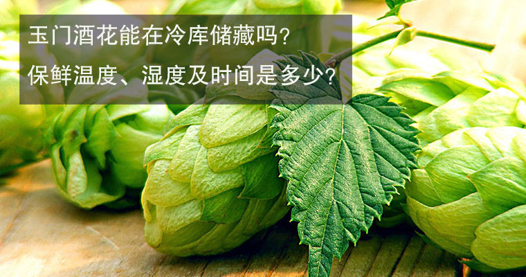 玉门酒花冷库储藏
