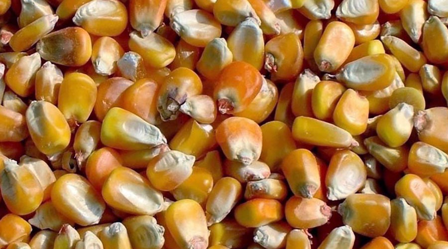 临夏170平米粮食冷藏库安装工程