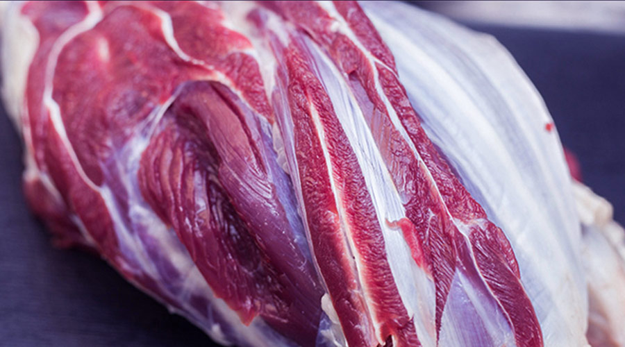 泾源黄牛肉1500平米冷冻库设计安装工程建造方案