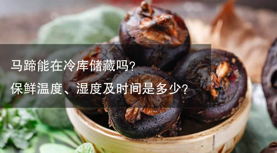 荸荠（马蹄）能在冷库储藏吗？保鲜温度、湿度及时间是多少？
