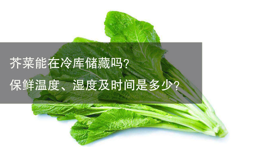芥菜能放在冷库储藏吗？保鲜温度、湿度及时间是多少？
