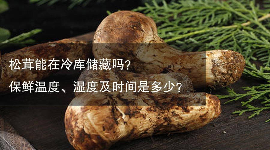 松茸能在冷库储藏吗？保鲜温度、湿度及时间是多少？