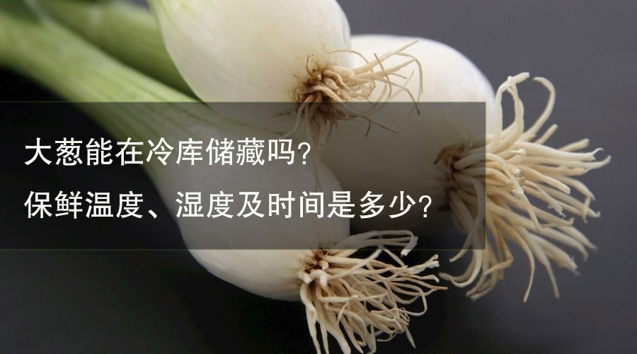 大葱能在冷库储藏吗？保鲜温度、湿度及时间是多少？