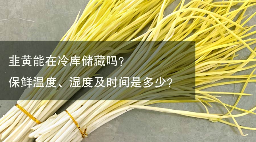 韭黄能在冷库储藏吗？保鲜温度、湿度及时间是多少？