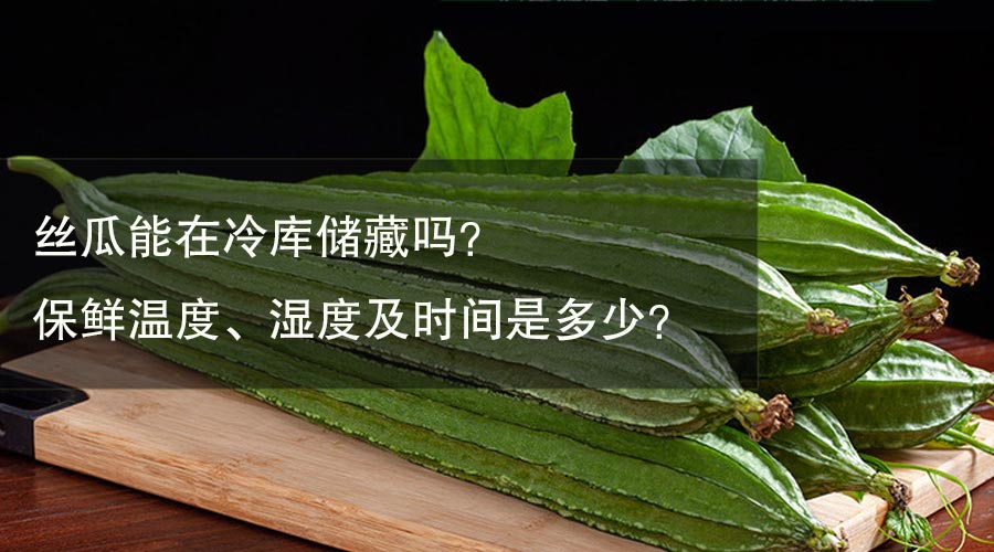 丝瓜能在冷库储藏吗？保鲜温度、湿度及时间是多少？