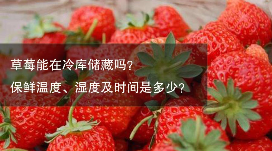 草莓能在冷库储藏吗？保鲜温度、湿度及时间是多少？