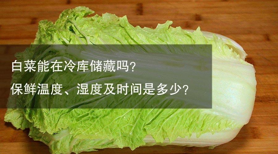 白菜能在冷库储藏吗？ 保鲜温度、湿度及时间是多少？