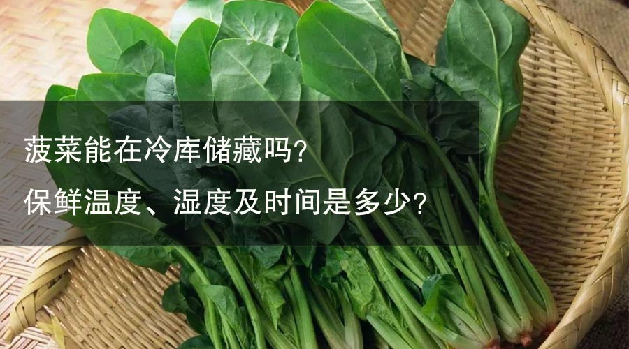 菠菜能在冷库储藏吗？ 保鲜温度、湿度及时间是多少？