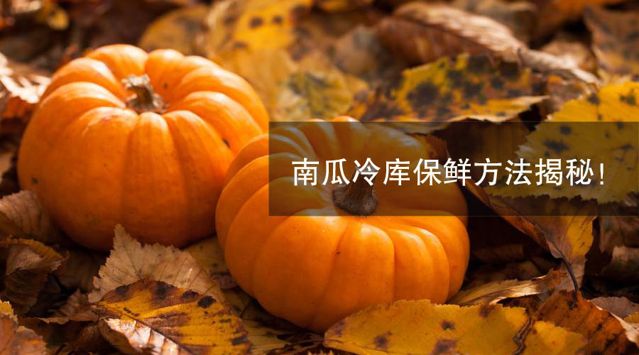 南瓜冷库保鲜方法介绍