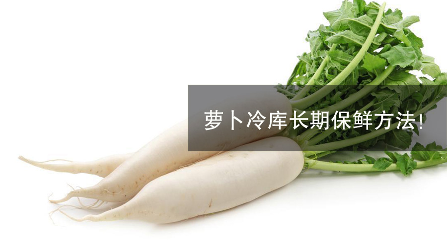 萝卜冷库长期保存方法介绍